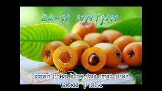 הקומה ה-24: ראיון בגלי צה\