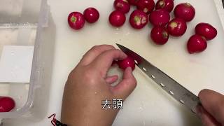 如何自製糖醋櫻桃蘿蔔 | Cherry Radish | 小菜ep.6