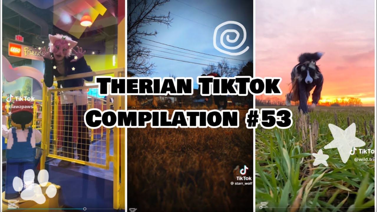 Therian Tiktok Compilation 53 Youtube