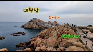 울산 대왕암 공원, 대왕암🦹 출렁다리 303 m 폭 1.5 m, 울기등대💫💥