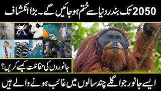 endangers animal species around the world in urdu hindi  | URDU COVER