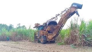 รถตัดอ้อย!! Sugar Cane Harvester,รถตัดอ้อยสด