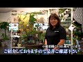 沖縄のリッチグリーン開催の観葉植物販売会「グリーンレンタアップ」について