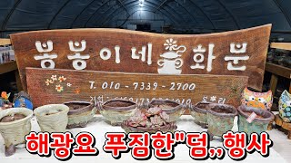 10월22일 #봉봉이네화분 #수제다육공방분 #해광요#푸짐한 덤 행사#10월30일푸짐한추첨행사