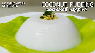 Coconut Pudding|No Gelatin | No China Grass |കോക്കനട്ട് പുഡിങ് || Kaypanga