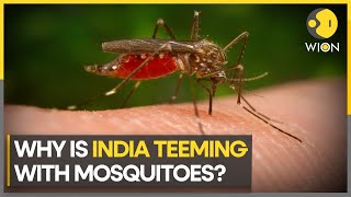 Climate change key reason for rise in mosquitoes: Study | WION Climate Tracker