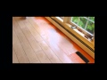 Ceramic tile wood look plank floor