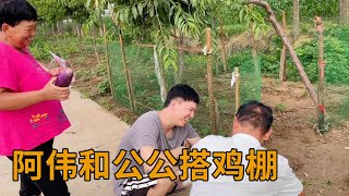 阿伟跟公公给鸡鸭找新家，青妹妹不忘调戏一下婆婆，实在太调皮了【青妹妹】