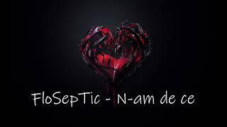 FloSepTic - N-am de ce