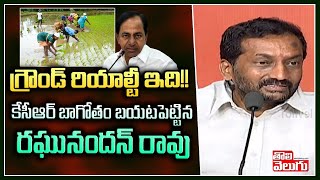 గ్రౌండ్ రియాల్టీ ఇది!! కేసీఆర్ బాగోతం బయటపెట్టిన రఘునందన్ రావు | MLA Raghunandha Rao | Tolivelugu TV