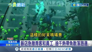 德國14米水族箱爆裂...上千熱帶魚散落路邊! 玻璃碎裂噴飛釀兩傷 飯店急撤房客和員工｜記者 黃瓊慧｜【國際局勢】20221217｜三立iNEWS