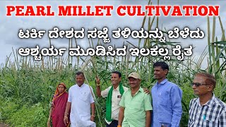 Pearl Millet Cultivation | Millet Farming Kannada | ಟರ್ಕಿ ದೇಶದ ವಿಶೇಷ ಸಜ್ಜೆ ತಳಿಯನ್ನು ಬೆಳೆದ ಇಲಕಲ್ಲ ರೈತ