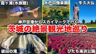 2泊3日で茨城県の定番観光地を巡ってみたら見どころ盛りだくさんでした！