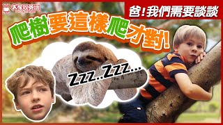 【爸，我們需要談談】S2E1 爬樹去! Climbing Trees