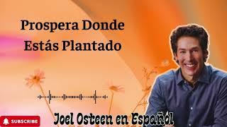 Prospera donde estás plantado - Joel Osteen en Español 2024