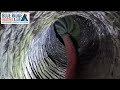 Professional Duct Cleaning in Action | Blue Ridge Heating and Air