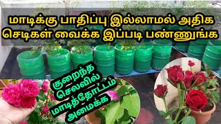 ரோஜா செடியை மாடியில் இப்படி வையுங்கள்/மாடி தோட்டம் அமைக்க எளிய வழிமுறைகள்/Maadi Thottam Tips