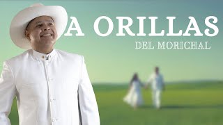 Ali Cabello - A Orillas del Morichal