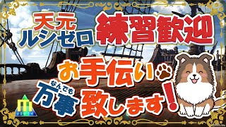 【初見歓迎】バブ塔処理したりイベントやったり【参加型】【#グラブル】【#GRANBLUEFANTASY】