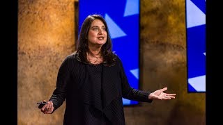 Asking where consciousness comes from | Divya Chander