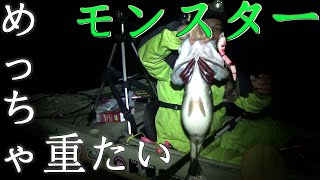 バス釣りTOPで超デカバスGET topwater bass fishing in Japan Lake Biwa