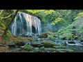 【4k】tatsuzawa fudo falls nature relax video＜kan nishikawa nihonbuyo channel＞