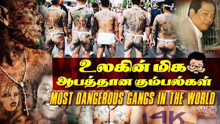 உலகின் மிக ஆபத்தான கும்பல்கள் # most dangerous gangster in the world in Tamil   # மோசமான கும்பல்கள்