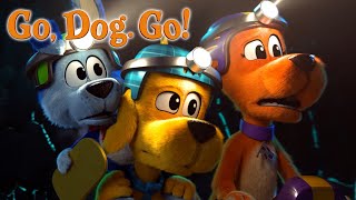 The Search For the Golden Slipper | GO, DOG. GO! | Netflix