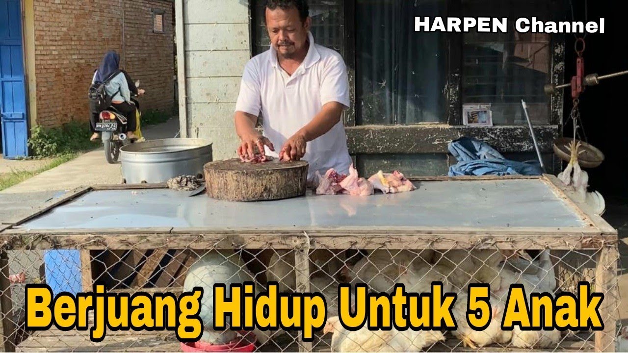 Penjual Ayam Berjuang Untuk 5 Anak,Mantan Istri Pergi Menikah Lagi ...