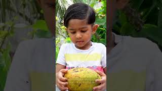 Chhotu the mango tree