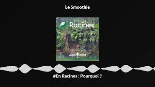 #En Racines : Pourquoi ?