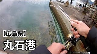 【広島釣り】新規開拓のデイメバリングで期待してなかった浅瀬が意外と釣れた🎣