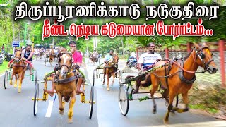 நடு குதிரை - திருப்பூரணிகாடு  பந்தயம் 06.05.2023