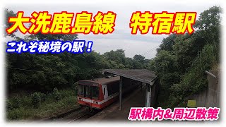 【これぞ秘境駅！】大洗鹿島線、徳宿駅構内\u0026周辺を散策！(Japan Walking around Tokushuku Station)