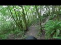 360° vr forest walk 8k virtual relaxation with soothing forest sounds u0026 bird song part 1