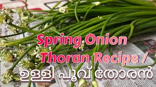 Spring Onion Thoran Recipe / ഉള്ളി തണ്ടു തോരൻ / ഉള്ളി പൂവ് തോരൻ | Malayalam