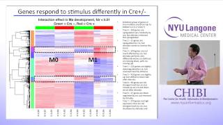 NYU CHIBI Dr. Steven Shen: Reading and Interpreting Genome Activities 11.09.14