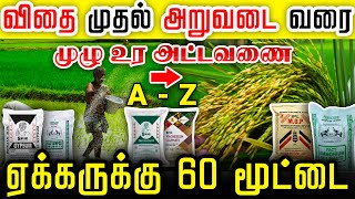 கண்டிப்பா போட வேண்டிய 5 உரங்கள் - நெல் உர மேலாண்மை Paddy Fertilizer#rootsmatepro #blackbooster #dap