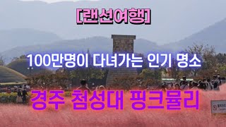 [랜선여행] 경주 첨성대 핑크뮬리 (댑싸리) 💐 100만명이 다녀가는 인기 꽃놀이 명소 🌺