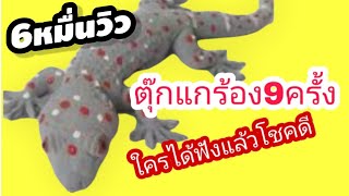 เสียงตุ๊กแกมงคล ร้อง9ครั้ง ใครได้ฟังแล้วโชคดี Ep.4