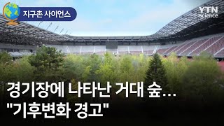 [지구촌 사이언스] 경기장에 나타난 거대 숲…\