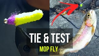 Mop Fly TIE & TEST - Fly Fishing for Trout Big Stony Creek, VA