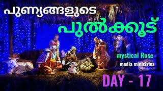 പുണ്യങ്ങളുടെ പുൽക്കൂട് - DAY - 17