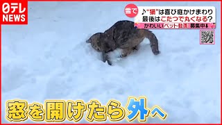 【投稿動画】雪で\