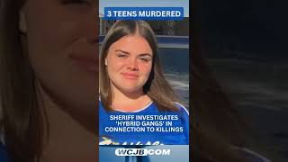 Sheriff Billy Woods investigates ‘hybrid gangs’ in connection to the murder of 3 teenagers