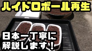 ハイドロボールの再生方法(再利用)を日本一ていねいに解説しました