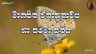 ප්‍රඥාව අවදි නොවීමට හේතුව-#Arahathamaga