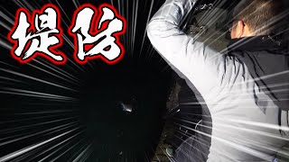 夜の堤防の足元で真鯛が！