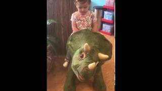 Playskool Kota My Triceratops Dinosaur