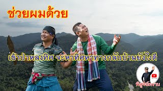 เข้าป่าหลงทิศ หาทิศหาทางกลับบ้านยังไงดี